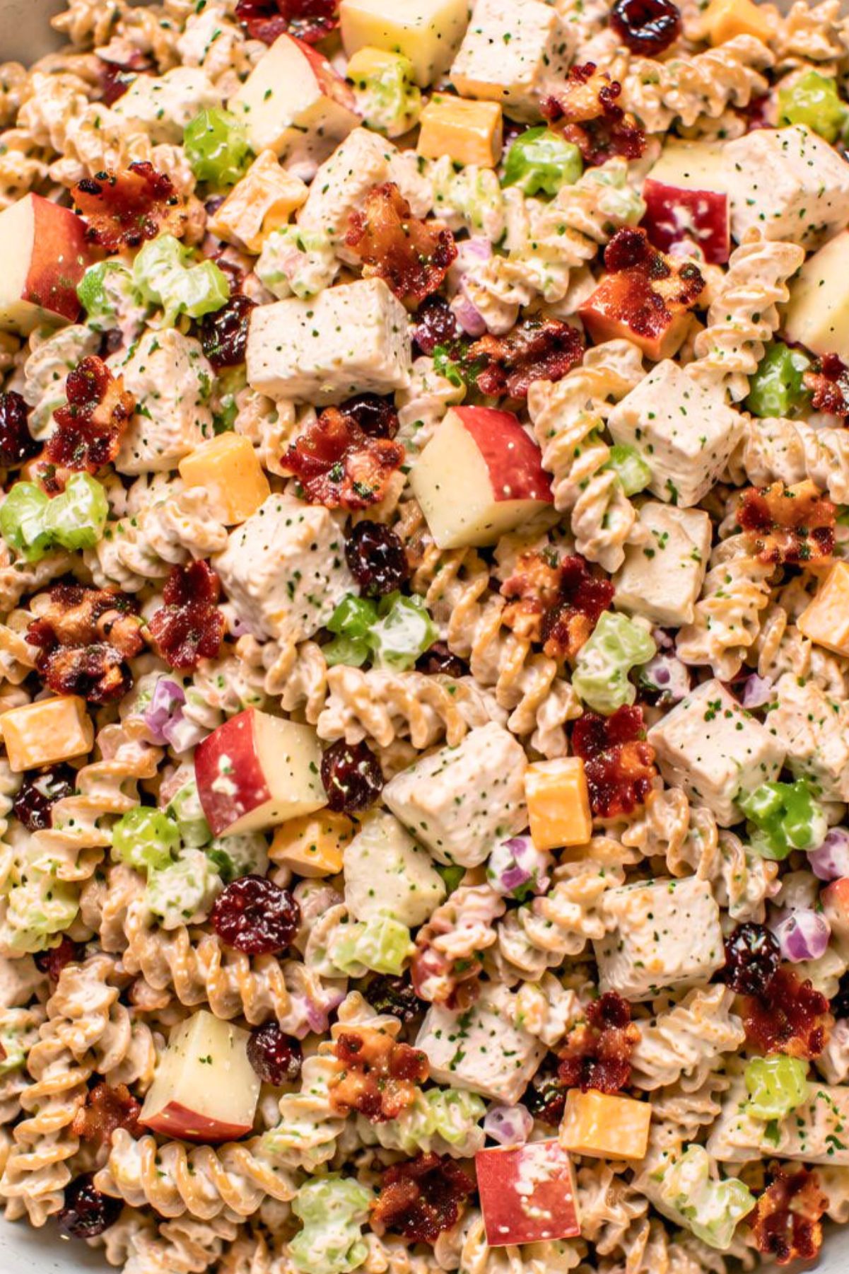 Chicken bacon apple pasta salad with whole wheat rotini, chopped chicken, crispy bacon, red apples, celery, cheddar cheese, dried cranberries, red onion, and creamy Dijon dressing.