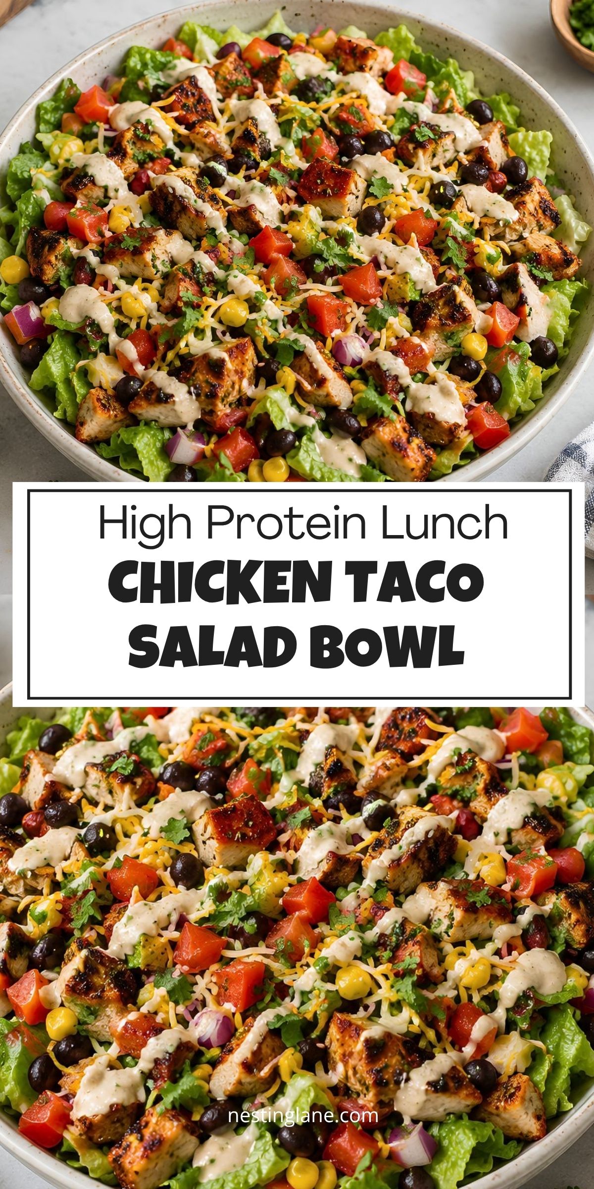 High protein chicken taco salad bowl with grilled chicken, romaine lettuce, black beans, corn, tomatoes, cheese, cilantro, and creamy taco dressing. Text reads: “High Protein Lunch Chicken Taco Salad Bowl” and “nestinglane.com.”