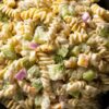 Close-up of creamy light dill pickle rotini pasta salad with chopped pickles, red onion, cheddar cheese, and fresh dill in a black bowl.