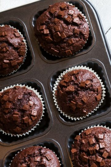 Chocolate oatmeal mini muffins topped with chocolate chunks in white paper liners and arranged in a dark muffin pan.