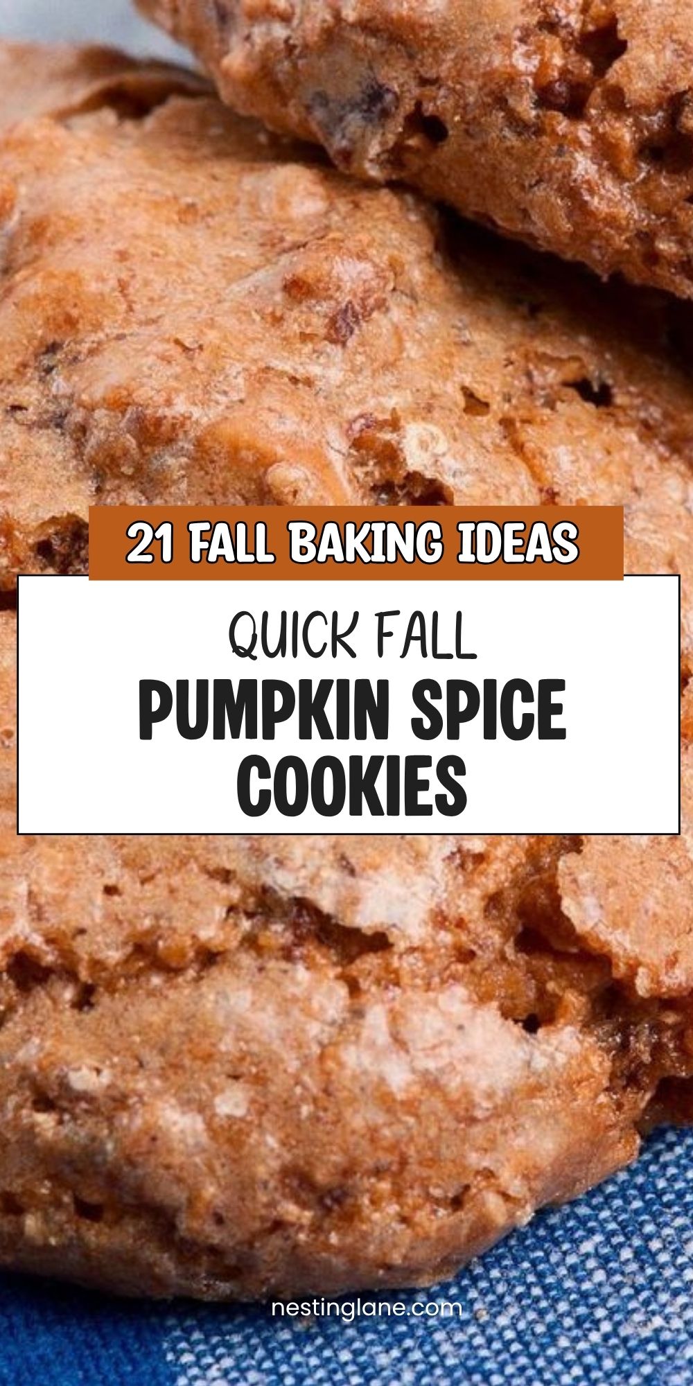  Pumpkin Spice Cookies graphic.