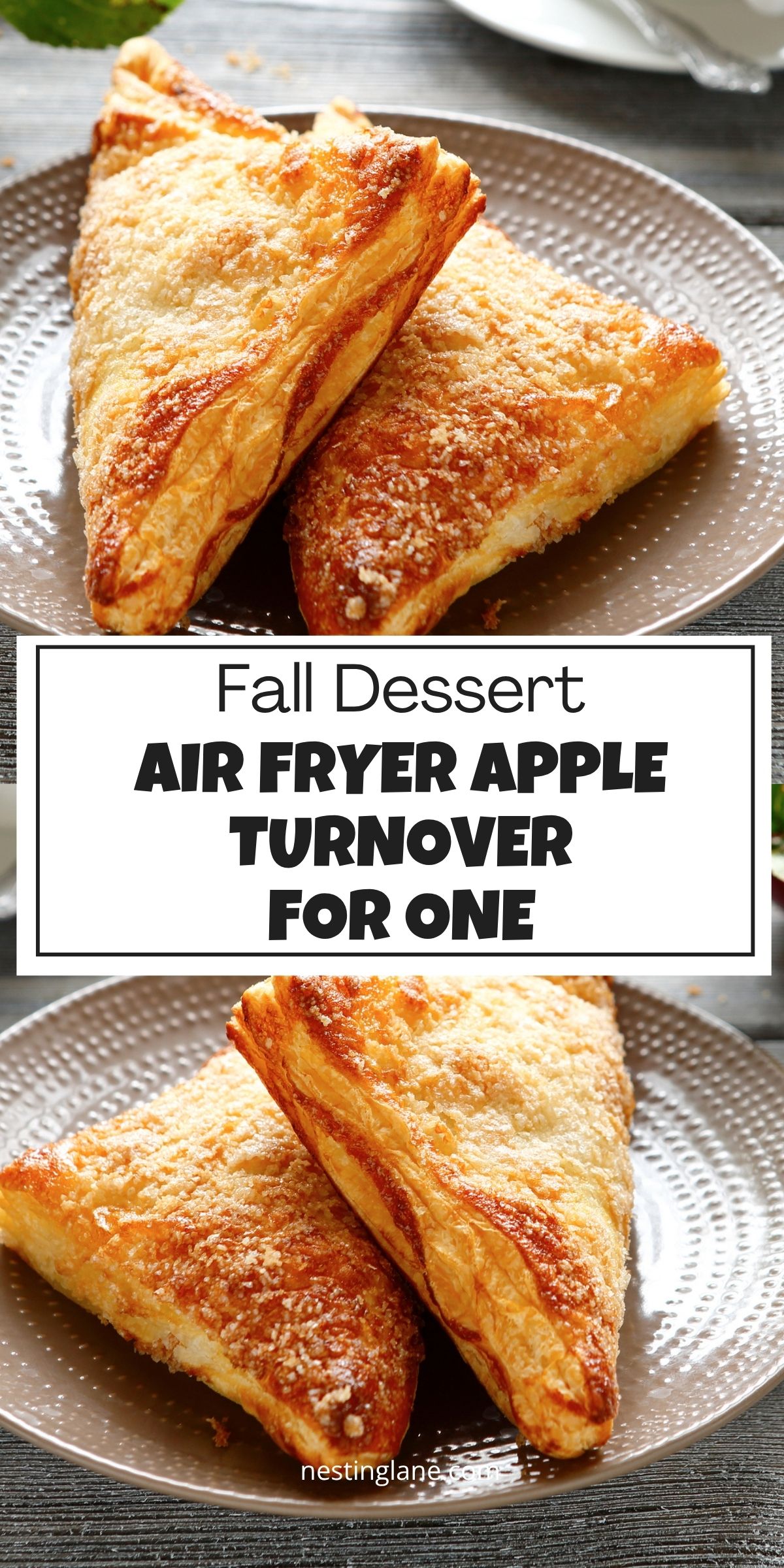 Two golden apple turnovers on a plate with text reading “Fall Dessert Air Fryer Apple Turnover for One” and “nestinglane.com.”