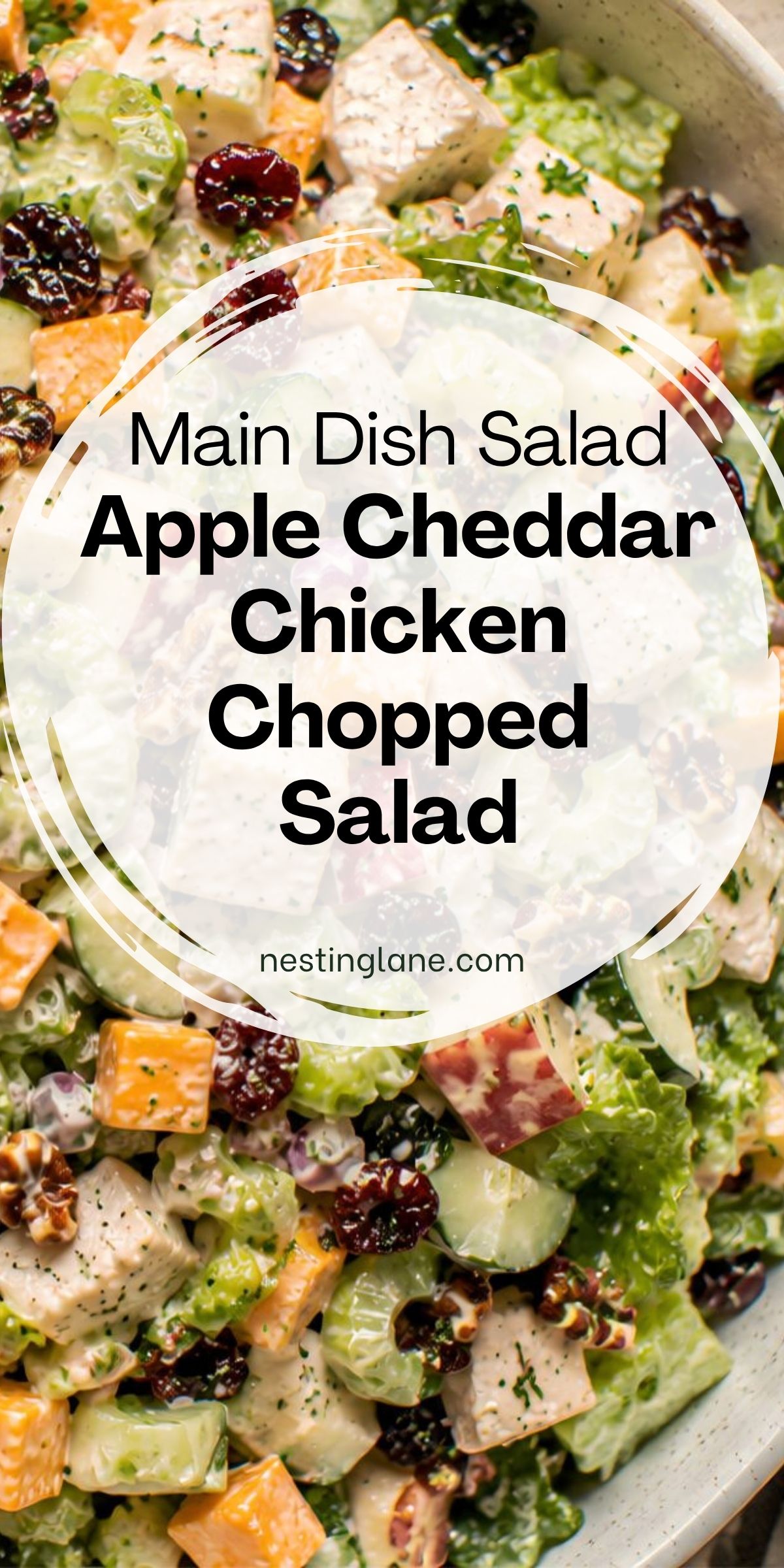 Apple cheddar chicken chopped salad with romaine, chicken, cheddar cheese, apple, celery, cucumber, dried cranberries, pecans, and creamy dressing. Text reads: “Main Dish Salad Apple Cheddar Chicken Chopped Salad” and “nestinglane.com.”