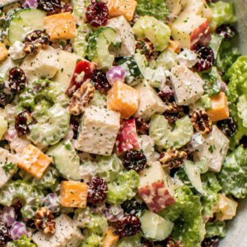 Apple cheddar chicken chopped salad with romaine, chicken, cheddar cubes, chopped apple, celery, cucumber, red onion, dried cranberries, pecans, and creamy dressing.