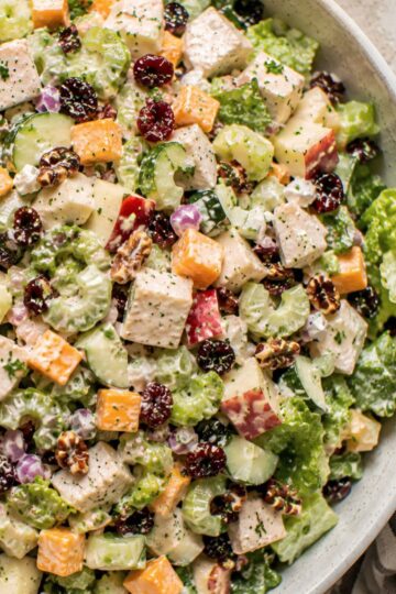 Apple cheddar chicken chopped salad with romaine, chicken, cheddar cubes, chopped apple, celery, cucumber, red onion, dried cranberries, pecans, and creamy dressing.