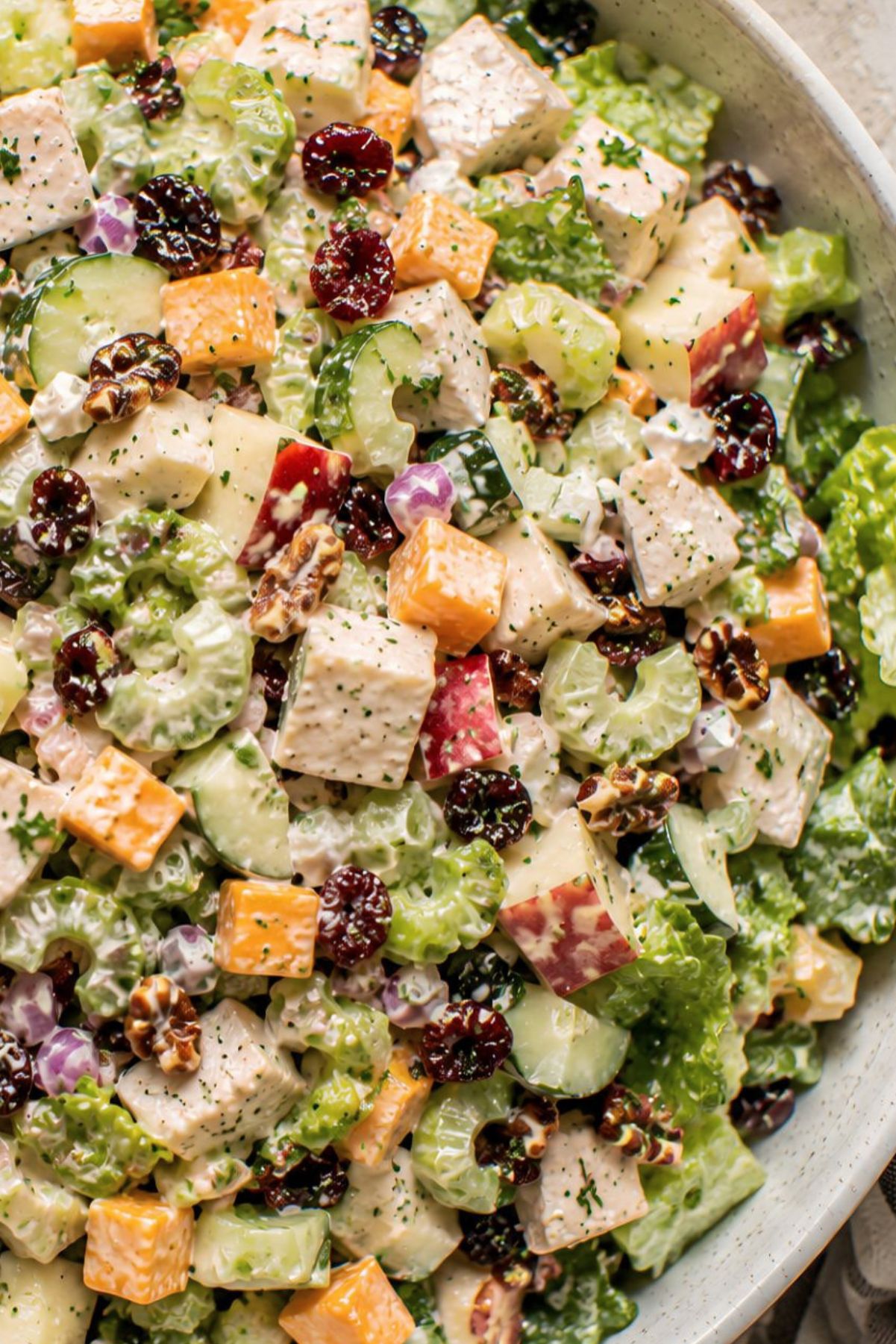 Apple cheddar chicken chopped salad with romaine, chicken, cheddar cubes, chopped apple, celery, cucumber, red onion, dried cranberries, pecans, and creamy dressing.