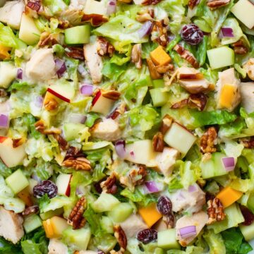 Close-up of maple Dijon chicken chopped salad with chicken, apples, pecans, cranberries, cheddar cheese, red onion, and chopped lettuce.
