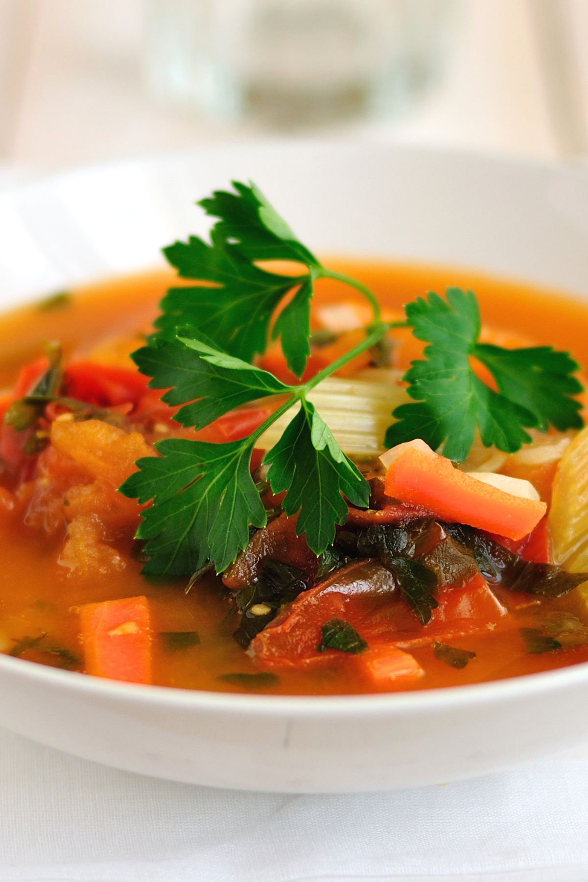 Spicy Tomato Trout and Vegetable Soup with chunks of trout, tomatoes, celery, red bell pepper, leafy greens, and fresh parsley in a rich tomato broth.