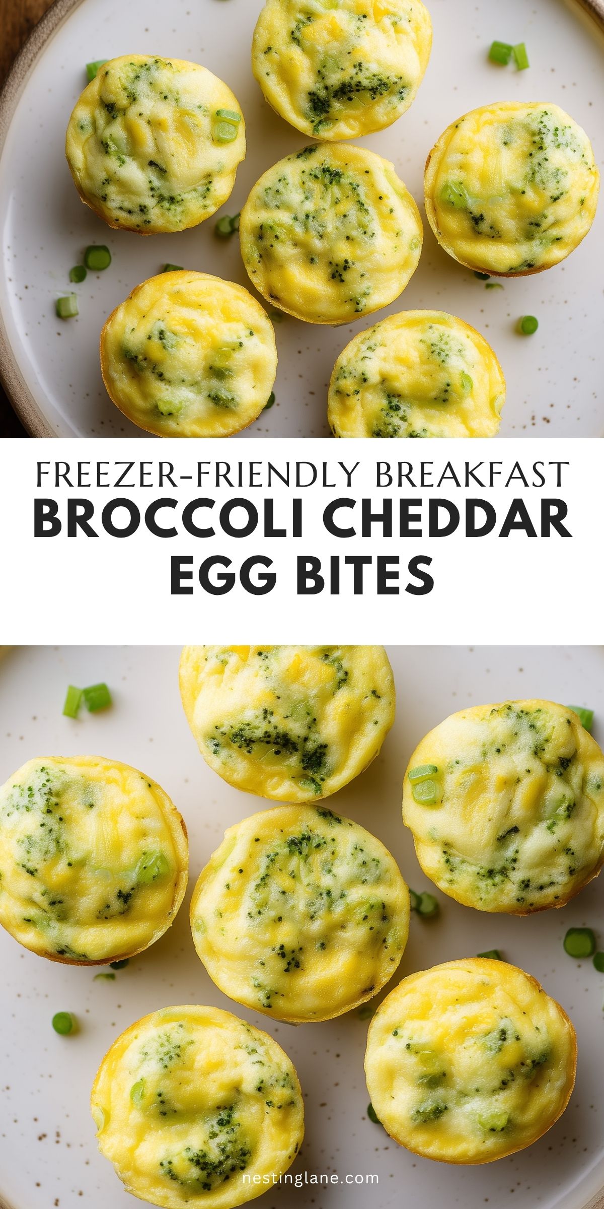 Broccoli cheddar egg bites on a white plate with green onions. Text reads “Freezer-Friendly Breakfast Broccoli Cheddar Egg Bites” and “nestinglane.com.”