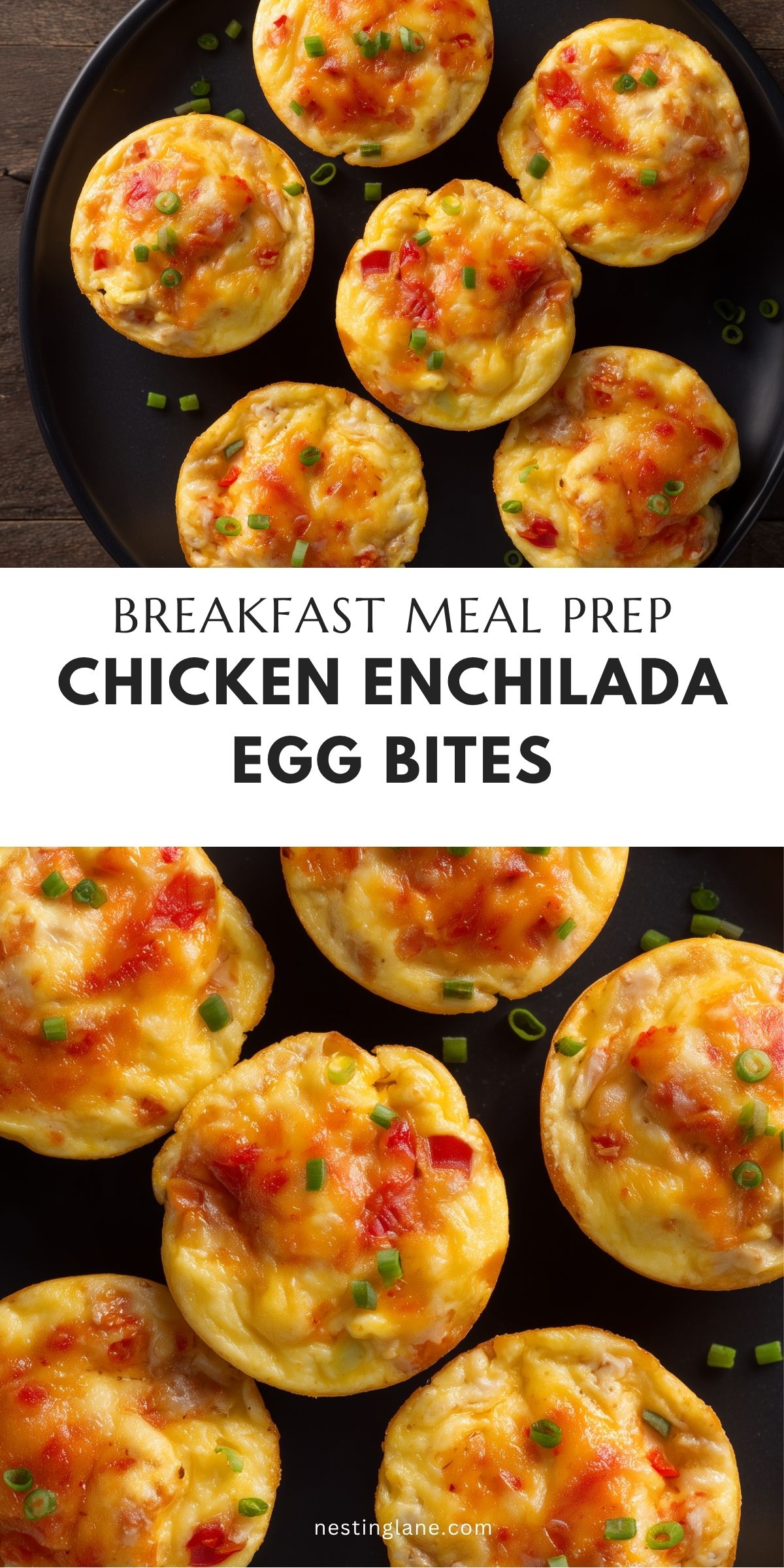 Chicken enchilada egg bites topped with melted cheese, red pepper, and green onions on a black plate. Text reads: “Breakfast Meal Prep Chicken Enchilada Egg Bites” and “nestinglane.com.”