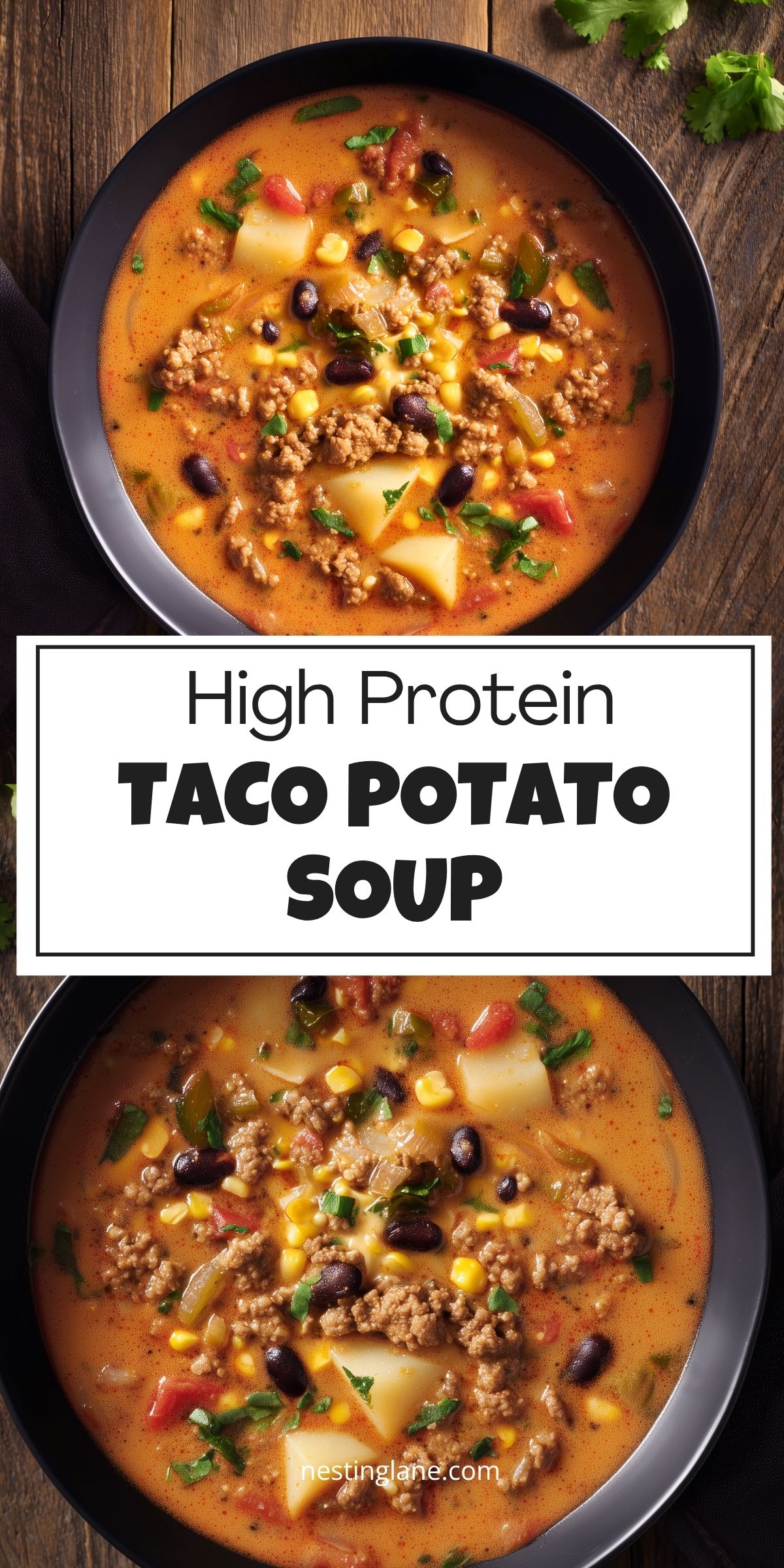 High Protein Taco Potato Soup with ground turkey, potatoes, black beans, corn, tomatoes, peppers, and herbs in a creamy taco-seasoned broth. Text reads “High Protein Taco Potato Soup” and “nestinglane.com.”