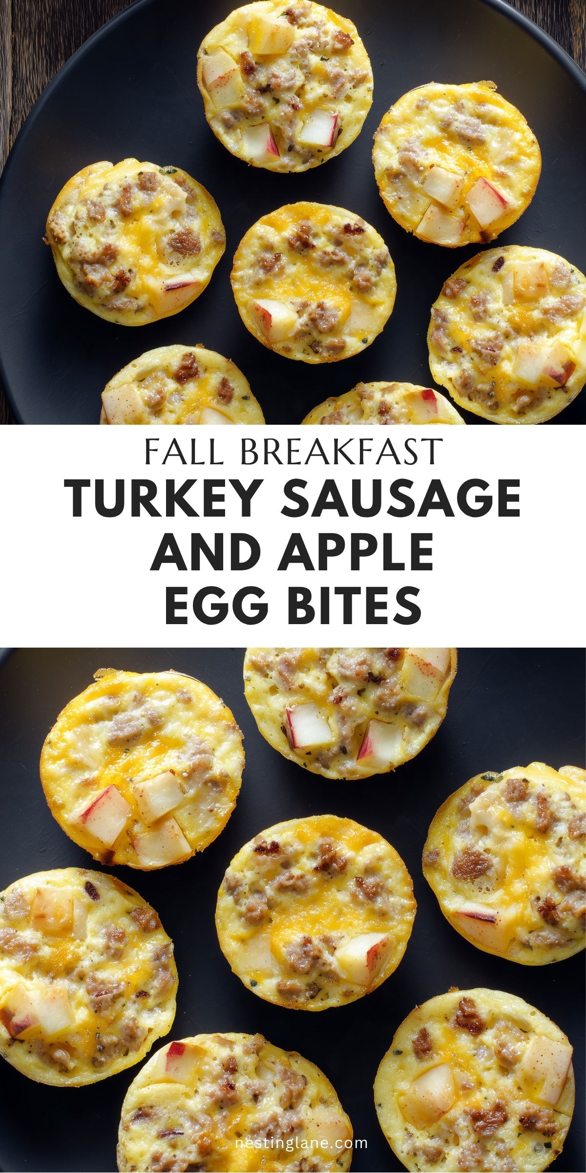 Overhead close-up of turkey sausage and apple egg bites with cheddar cheese and diced apples on a black plate. Text reads “Fall Breakfast Turkey Sausage and Apple Egg Bites” and “nestinglane.com.”