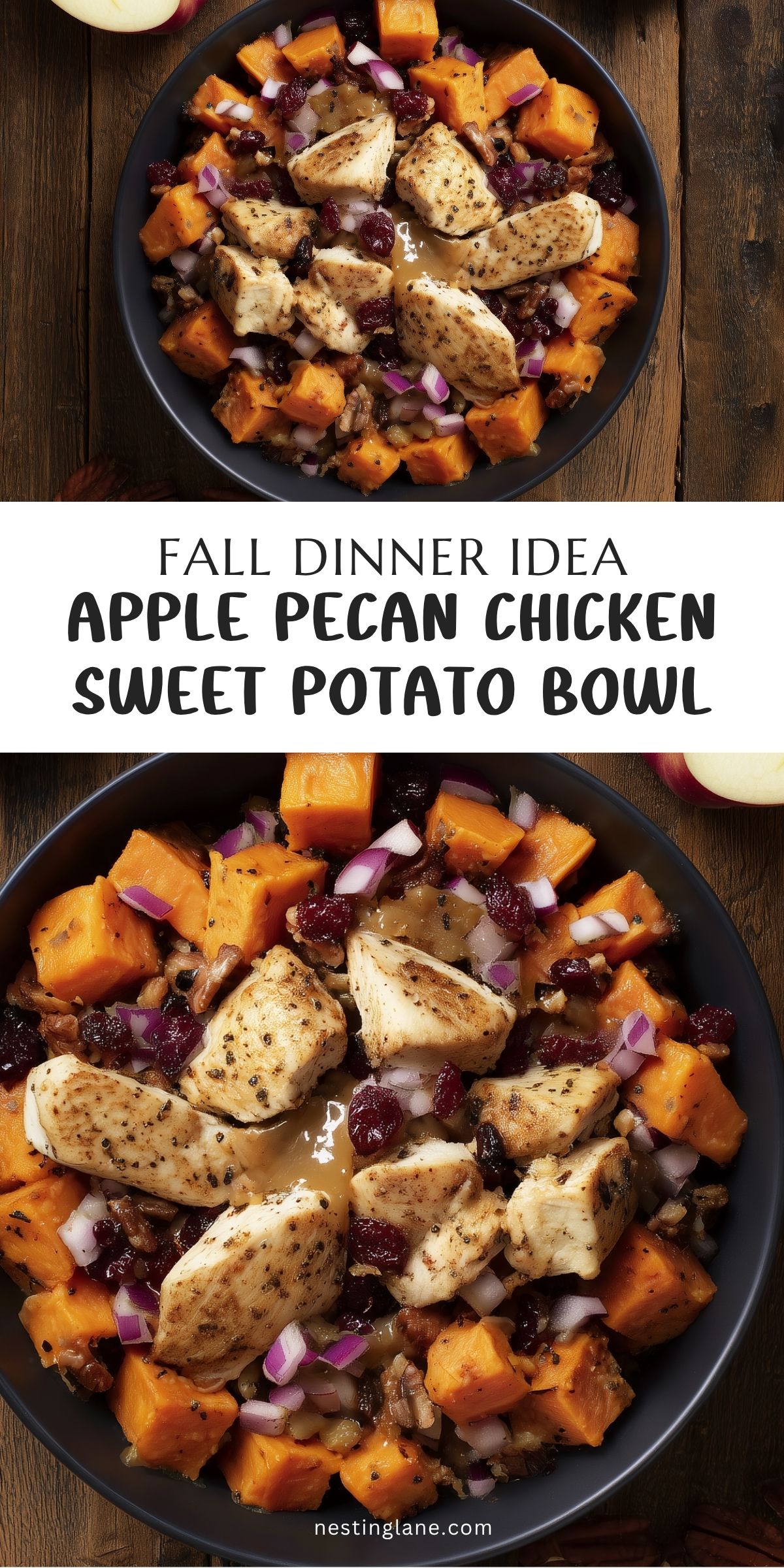 Pinterest pin for Apple Pecan Chicken Sweet Potato Bowl featuring seasoned chicken breast, roasted sweet potato cubes, chopped pecans, dried cranberries, red onion, and apple sauce in a black bowl. Text reads “Fall Dinner Idea Apple Pecan Chicken Sweet Potato Bowl” and “nestinglane.com.”
