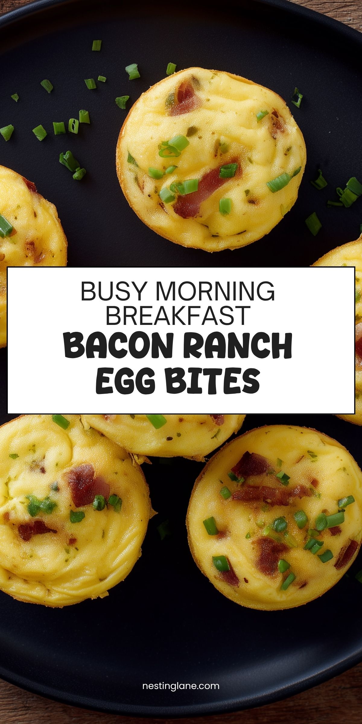 Close-up of Bacon Ranch Egg Bites with bacon pieces and green onions on a black plate. Text reads: “Busy Morning Breakfast Bacon Ranch Egg Bites.” NestingLane.com.