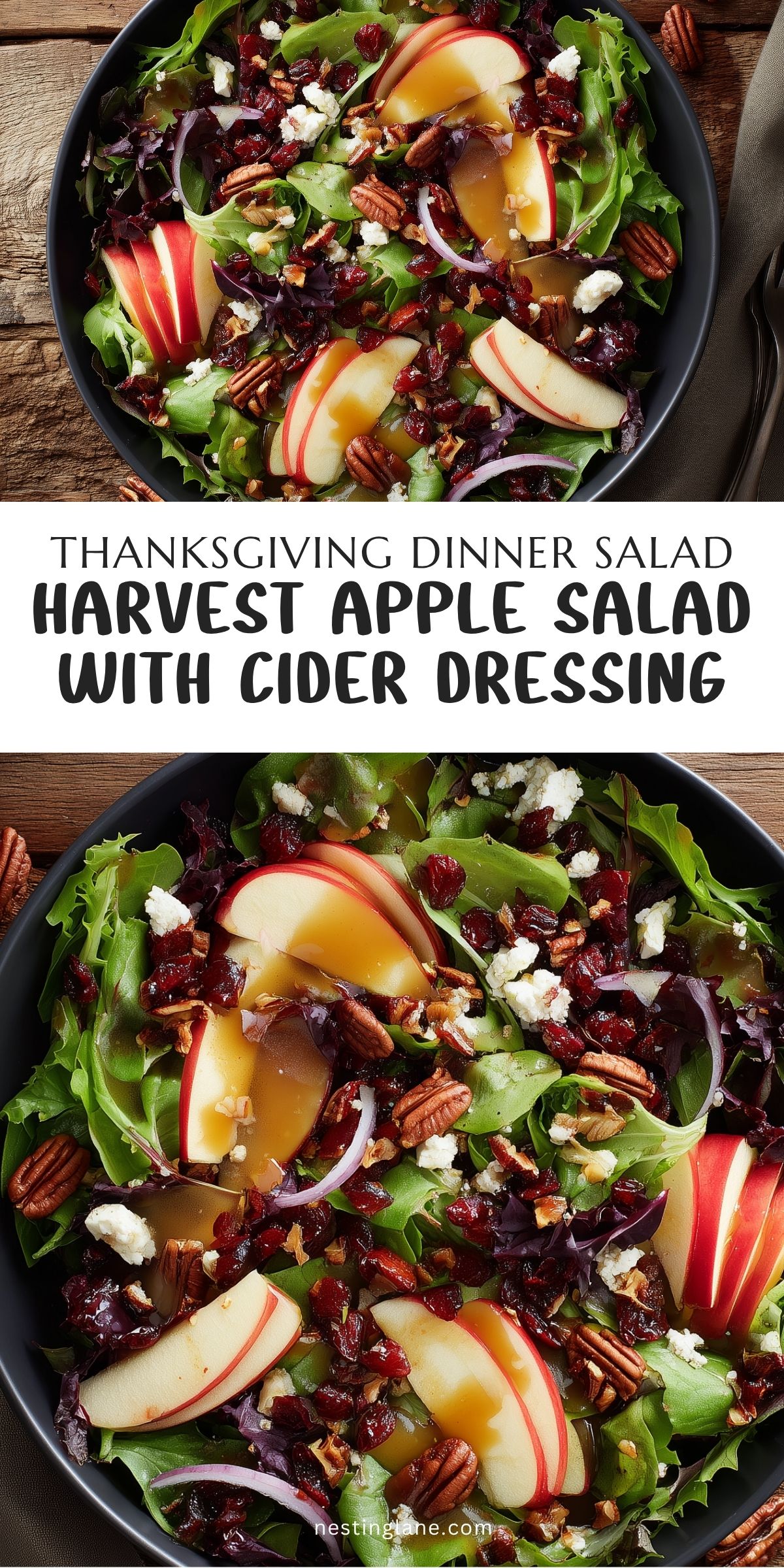 Pinterest pin for Harvest Apple Salad with Cider Dressing featuring mixed greens, sliced red apples, dried cranberries, pecans, feta cheese, and cider dressing in a black bowl. Text reads "Thanksgiving Dinner Salad Harvest Apple Salad with Cider Dressing" and "nestinglane.com."