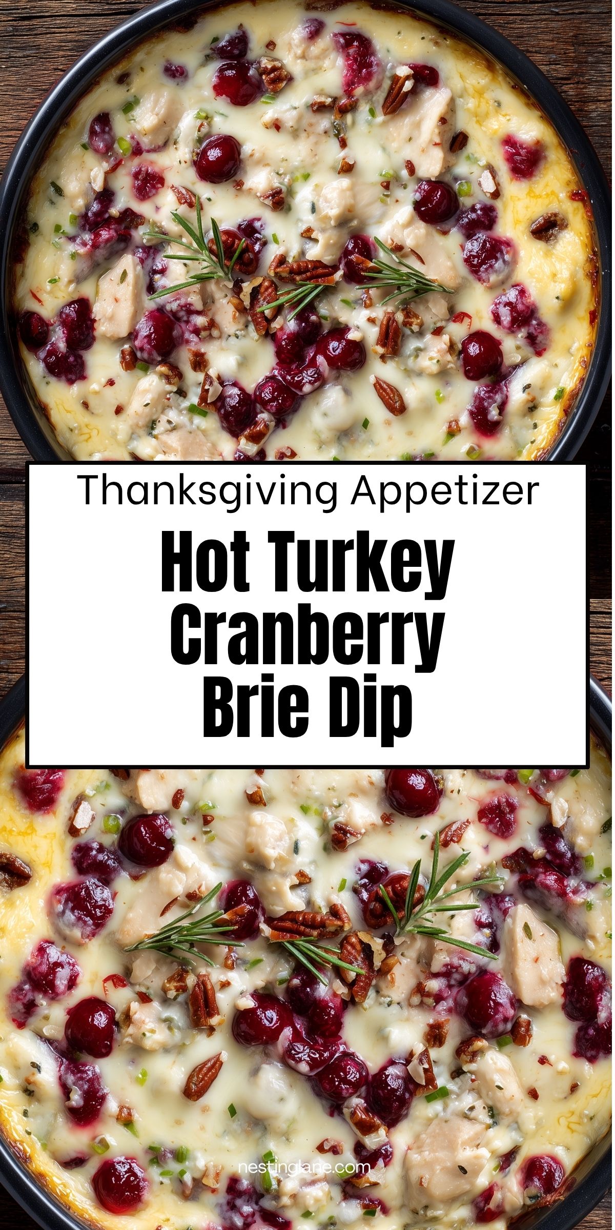 Hot Turkey Cranberry Brie Dip in a black baking dish, featuring melted creamy cheese, turkey pieces, whole cranberries, chopped pecans, green onions, and rosemary. Text reads: "Thanksgiving Appetizer Hot Turkey Cranberry Brie Dip." Nestinglane.com.